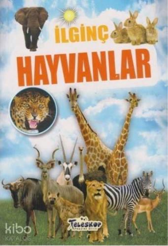 İlginç Hayvanlar