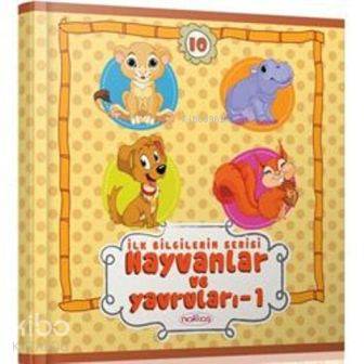 İlk Bilgilerim Serisi| Hayvanlar Ve Yavruları - 1