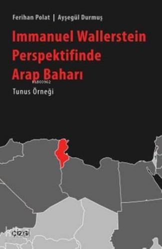 Immanuel Wallerstein Perspektifinde "Arap Baharı"; Tunus Örneği - Kita