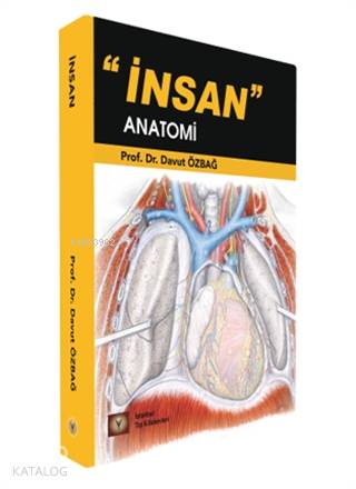 İnsan Anatomi - Kitapiks.com
