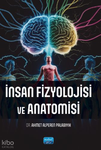 İnsan Fizyolojisi ve Anatomisi