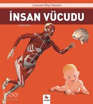 İnsan Vücudu - Kitapiks.com