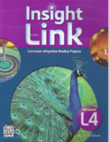 Insight Link 4
