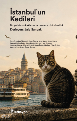 İstanbul’un Kedileri
