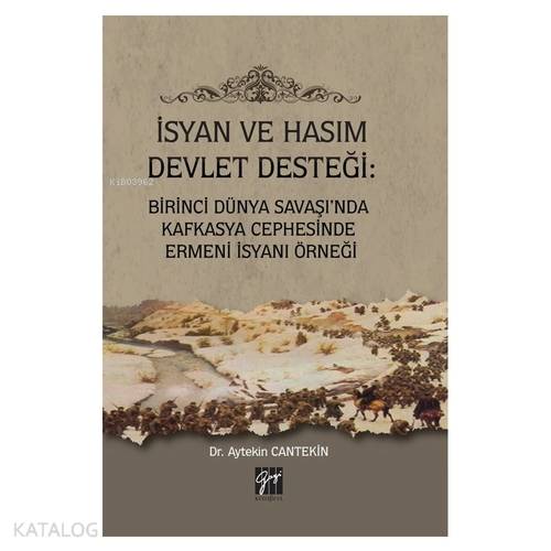İsyan ve Hasım Devlet Desteği: Birinci Dünya Savaşı'nda Kafkasya Cephesinde Ermeni İsyanı Örneği