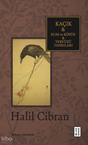 Kaçık & Kum ve Köpük & Yeryüzü Tanrıları