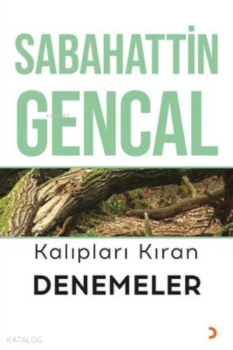 Kalıpları Kıran Denemeler