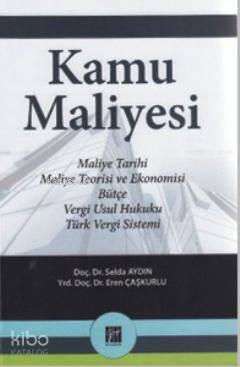 Kamu Maliyesi; Maliye Tarihi, Maleyi Teorisi ve Ekonomisi, Bütçe, Vergi Usul Hukuku, Türk Vergi Sistemi