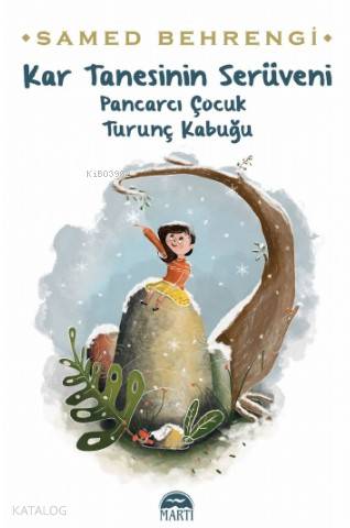 Kar Tanesinin Serüveni