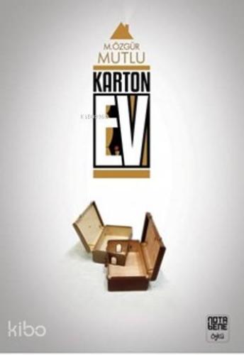 Karton Ev