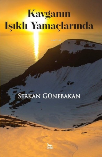 Kavganın Işıklı Yamaçlarında - Kitapiks.com