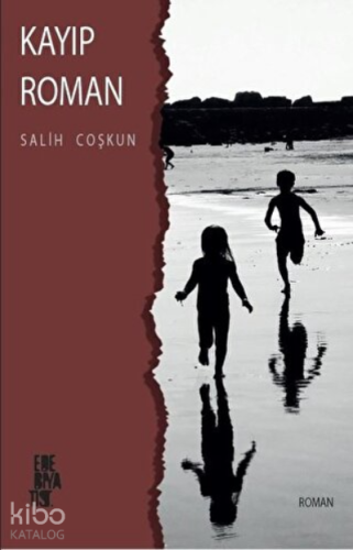 Kayıp Roman
