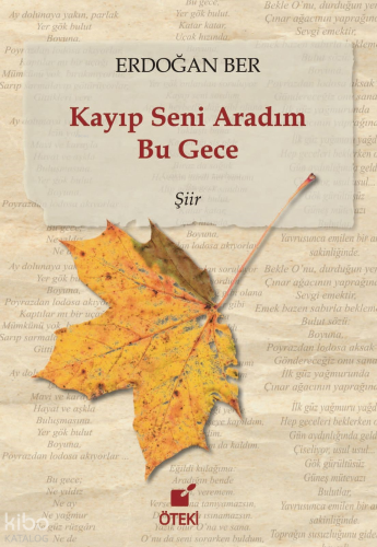 Kayıp Seni Aradım Bu Gece