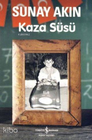 Kaza Süsü