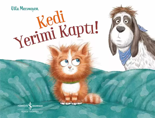 Kedi Yerimi Kaptı! - Kitapiks.com