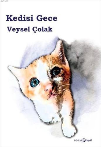 Kedisi Gece