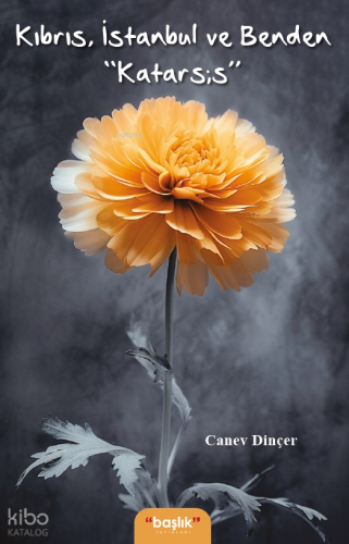 Kıbrıs, İstanbul ve Benden “Katarsis”