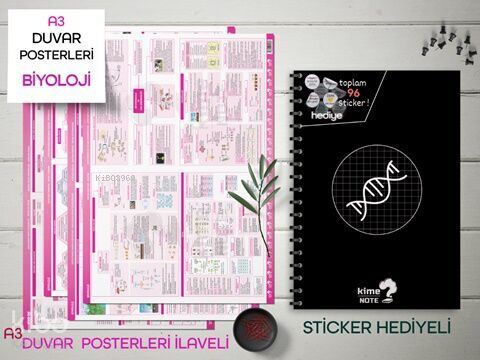Kime Note TYT Kareli Biyoloji Okul Defteri Konu Anlatımlı 4 Büyük Poster ve 96 Sticker Hediye