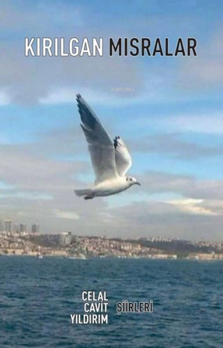 Kırılgan Mısralar - Kitapiks.com