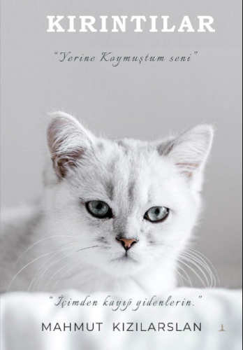 Kırıntılar