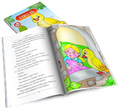 Kırmızı Gül - Kitapiks.com