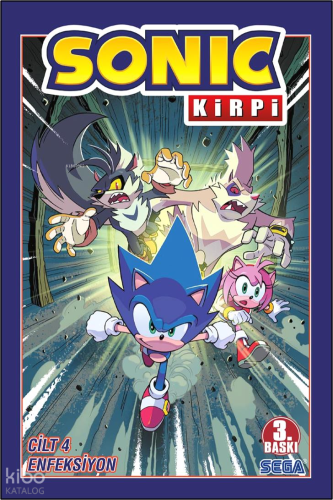 Kirpi Sonic Cilt 4: Enfeksiyon