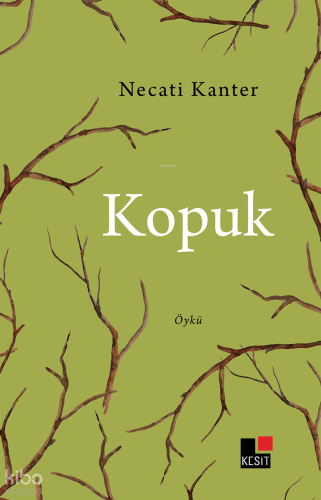 Köpük