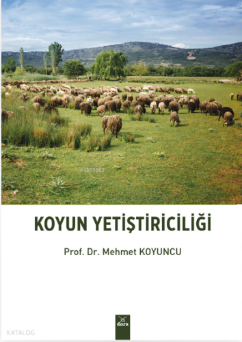 Koyun Yetiştiriciliği