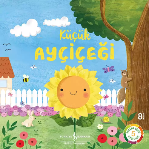 Küçük Ayçiçeği
