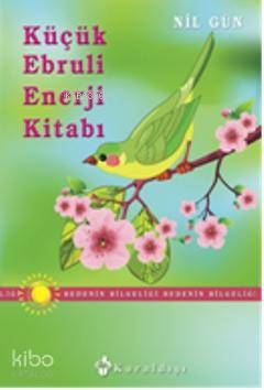 Küçük Ebruli Enerji Kitabı