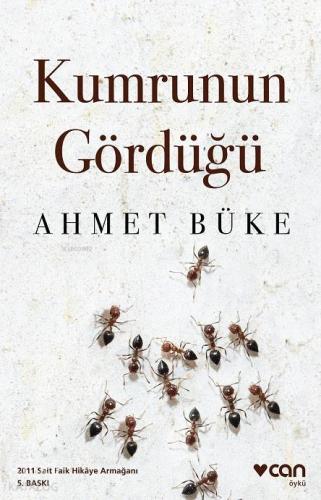 Kumrunun Gördüğü - Kitapiks.com