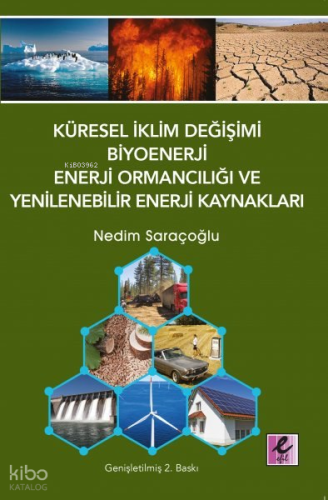 Küresel İklim Değişimi, Biyoenerji ve Enerji Ormancılığı