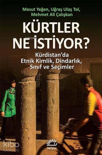 Kürtler Ne İstiyor?; Kürdistan'da Etnik Kimlik, Dindarlık, Sınıf ve Seçimler