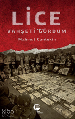 Lice Vahşeti Gördüm