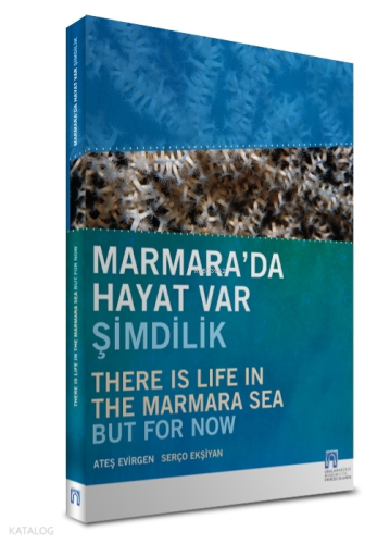 Marmara'da Hayat Var Şimdilik