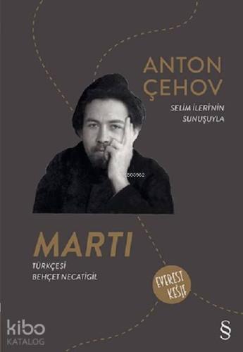 Martı; Everest Keşif