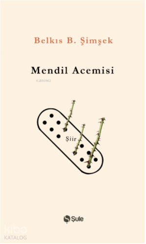 Mendil Acemisi - Kitapiks.com