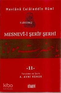 Mesnevi-i Şerif Şerhi 11