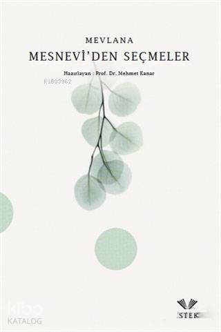Mesnevi'den Seçmeler