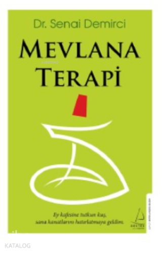 Mevlana Terapi