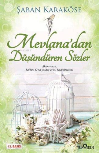 Mevlana'dan Düşündüren Sözler