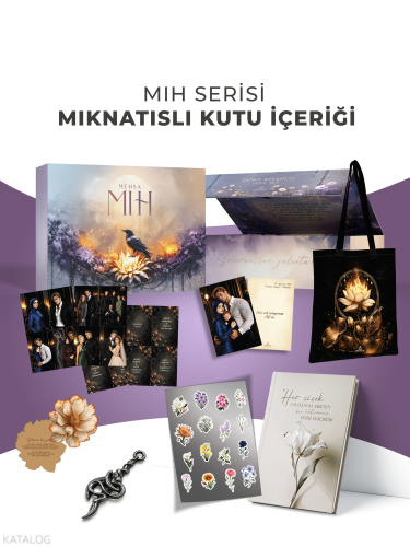 Mıh Serisi (Ciltli - Dört  Kitaplık Kutu)