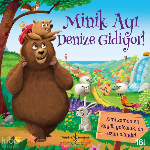 Minik Ayı Denize Gidiyor!