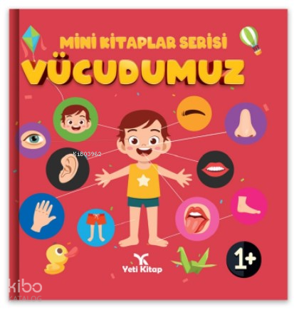 Minik kitaplar Serisi Vücudumuz