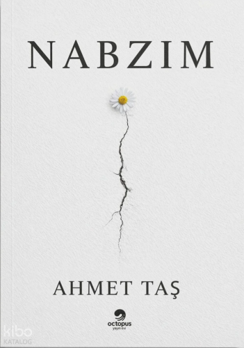 Nabzım