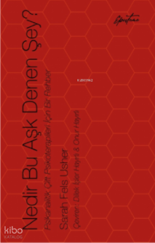 Nedir Bu Aşk Denen Şey?;Psikanalitik Çift Psikoterapileri İçin Bir Rehber
