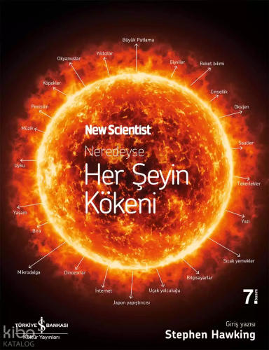 Neredeyse Her Şeyin Kökeni