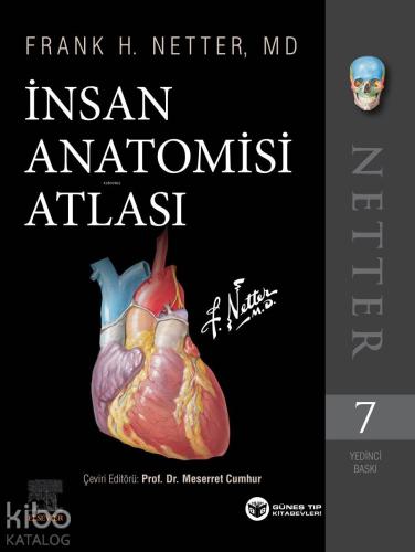 Netter İnsan Anatomisi Atlası 7. Baskı - Kitapiks.com