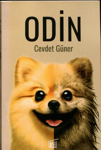 Odin - Kitapiks.com