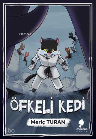 Öfkeli Kedi